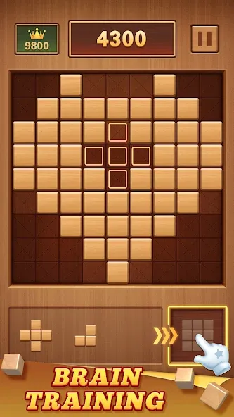 Скачать Wood Block 99 — Sudoku Puzzle (Вуд Блок 99) взлом на бесконечные деньги + мод меню screen 2