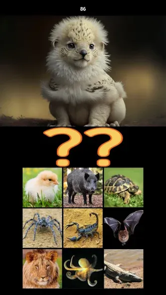 Скачать Hybrid Animals Crazy Lab Quiz (Хибридные животные Сумасшедшая лаборатория Викторина) взлом на бесконечные деньги + мод меню screen 5