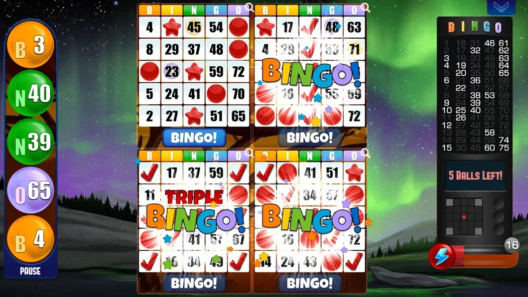 Скачать Absolute Bingo взлом на бесконечные деньги + мод меню screen 2