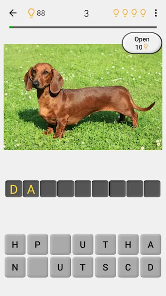 Скачать Dogs Quiz — Guess All Breeds! взлом на бесконечные деньги + мод меню screen 2