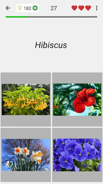 Скачать Flowers Quiz — Identify Plants взлом на бесконечные деньги + мод меню screen 4