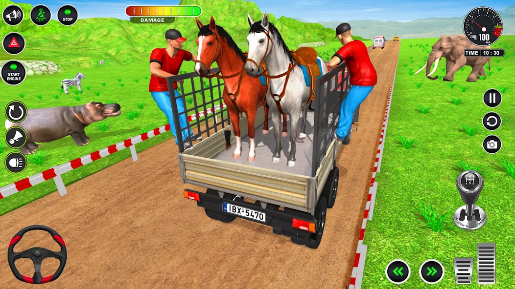 Скачать Animal Transport Truck Game 3D взлом на бесконечные деньги + мод меню screen 4