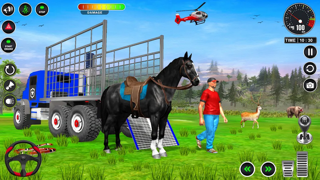 Скачать Animal Transport Truck Game 3D взлом на бесконечные деньги + мод меню screen 5