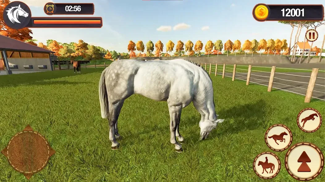 Скачать My Horse Herd Care Simulator (Мой симулятор ухода за стадом лошадей) взлом на бесконечные деньги + мод меню screen 5