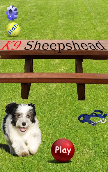 Скачать K9 Sheepshead (Schafkopf) (Шипсхед) взлом на бесконечные деньги + мод меню screen 1