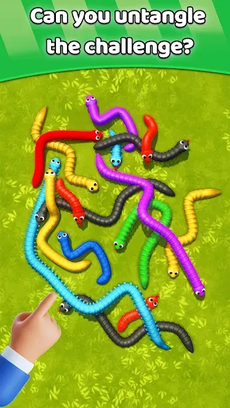 Скачать Tangled Snakes Puzzle Game (Танглед Снейк 3Д) взлом на бесконечные деньги + мод меню screen 5