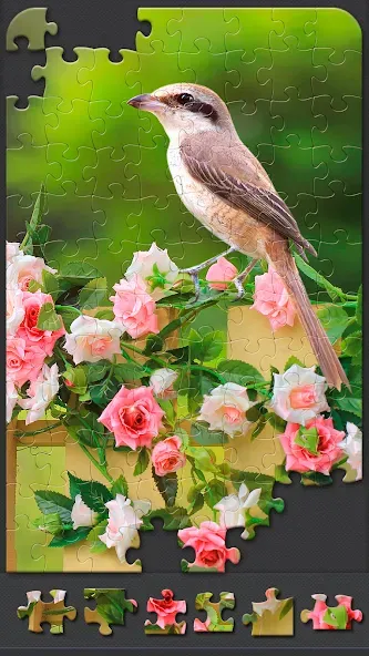 Скачать Jigsaw Puzzles for Adults взлом на бесконечные деньги + мод меню screen 3