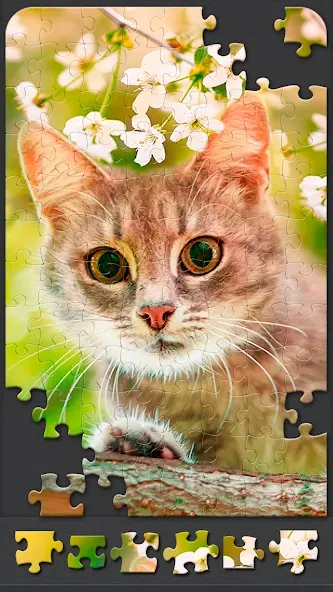 Скачать Jigsaw Puzzles for Adults взлом на бесконечные деньги + мод меню screen 5