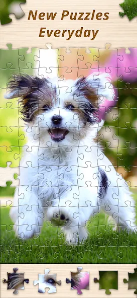 Скачать Jigsaw Premium Puzzles HD (Джигсоу) взлом на бесконечные деньги + мод меню screen 5