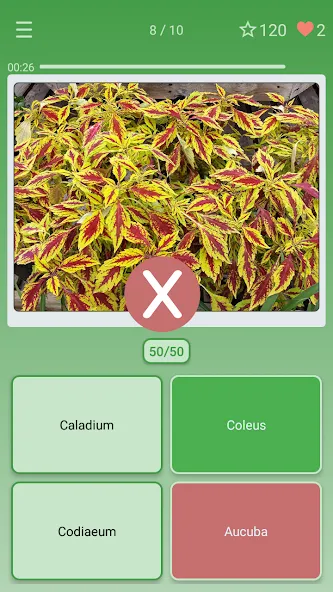 Скачать Quiz: Flowers, Plants взлом на бесконечные деньги + мод меню screen 3