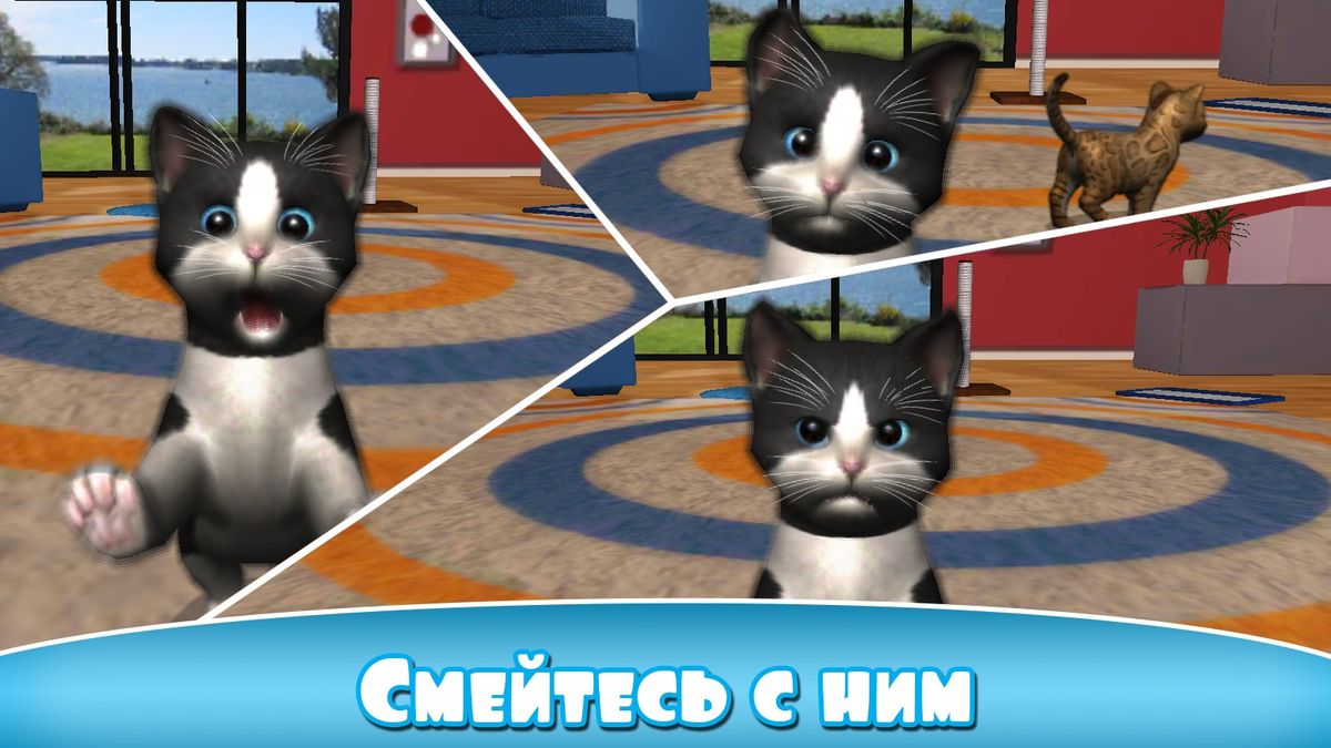 Скачать Daily Kitten: виртуальный кот на Андроид — Мод много денег screen 4